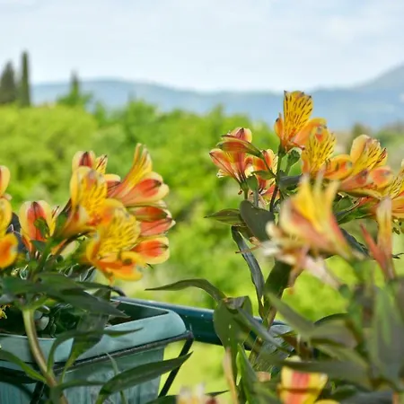 Corfu Seaty Spacious 3br Sea And Mountain View Large Terrace Private Parking Near Corfu Town شقة Potamós